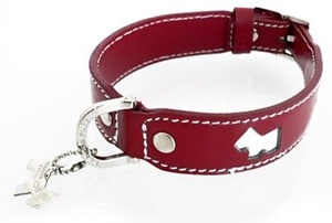 Dog-Collar