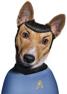 Spock-Dog