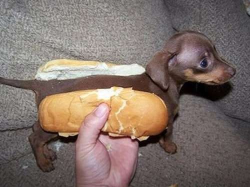 hot-dog