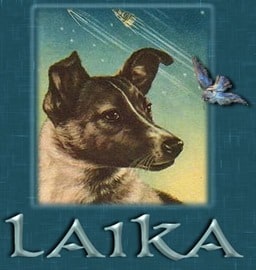 Laika-Dog-Name