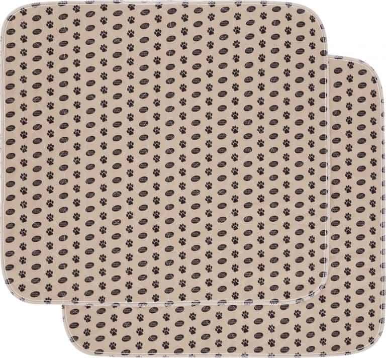 Best Reusable Pee Pad For Dogs