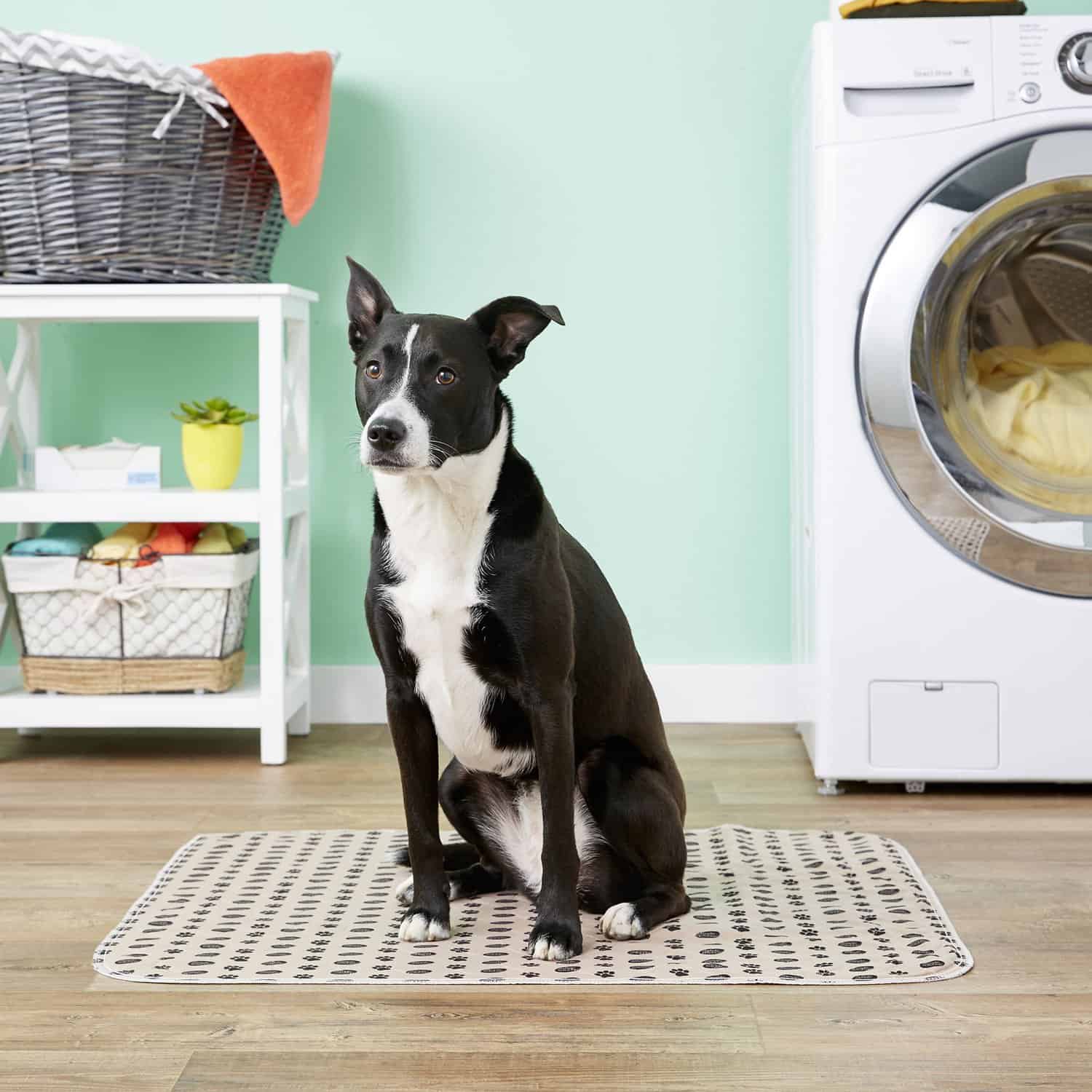 Best Reusable Pee Pad For Dogs